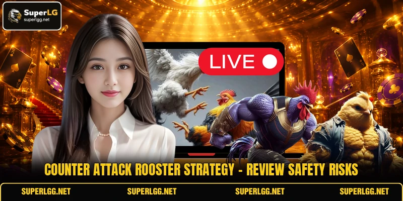 Counter Attack Rooster Strategy - Review Safety Risks