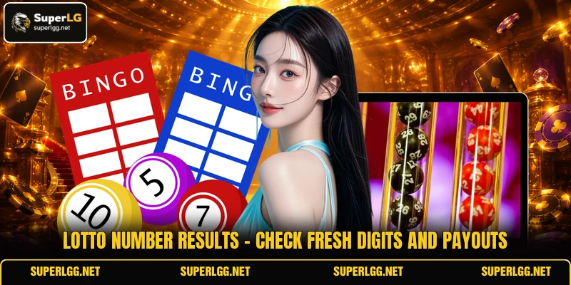 Lotto Number Results - Check Fresh Digits And Payouts