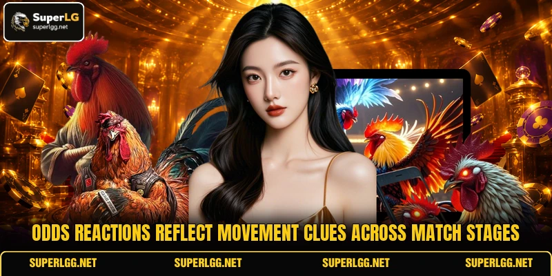 Odds reactions reflect movement clues across match stages Odds reactions reflect movement clues across match stages